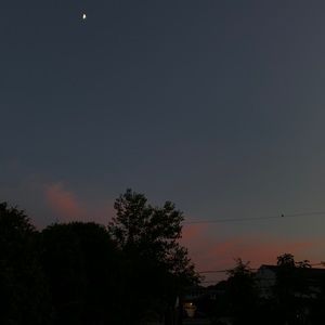 Meet your Posher, Abbey